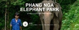 PHANG NGA ELEPHANT PARK ETHICAL ELEPHANT PROGRAMMES
