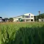 Youth Football Home