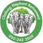 Chalong Elephant Retirement