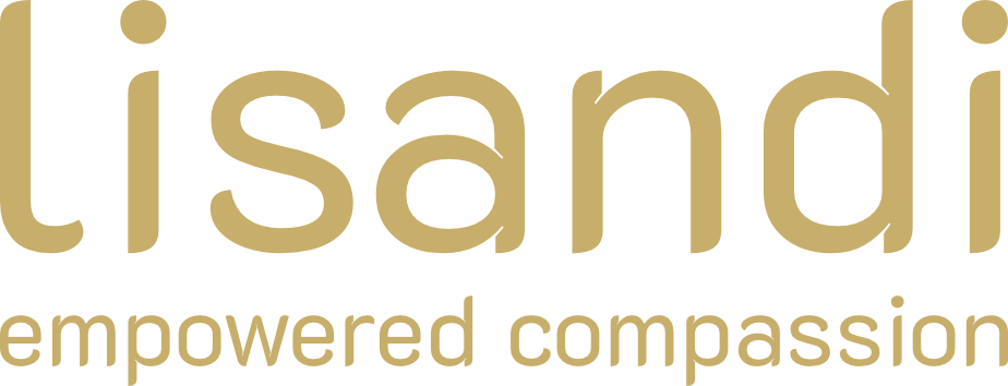 LisAndi Logo